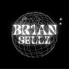 br1ansellz
